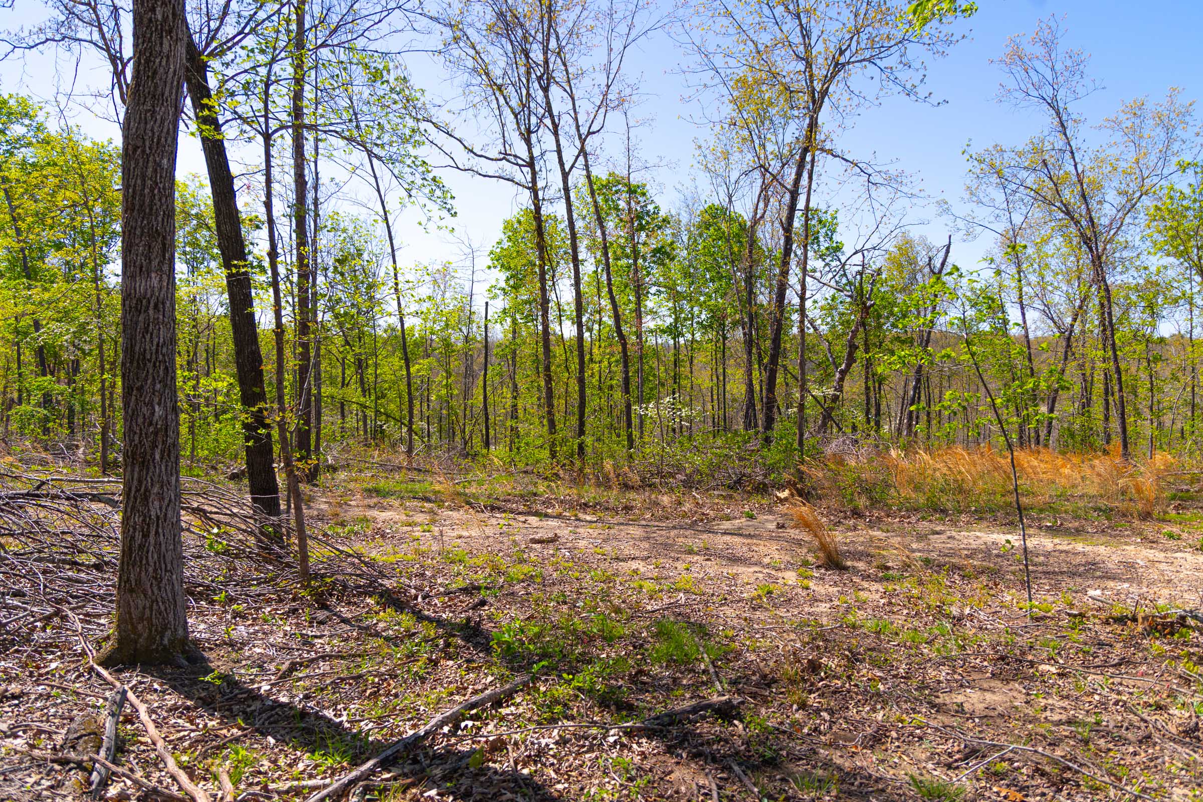 Tract 11 at Lazybrook in Fulton County, Arkansas
