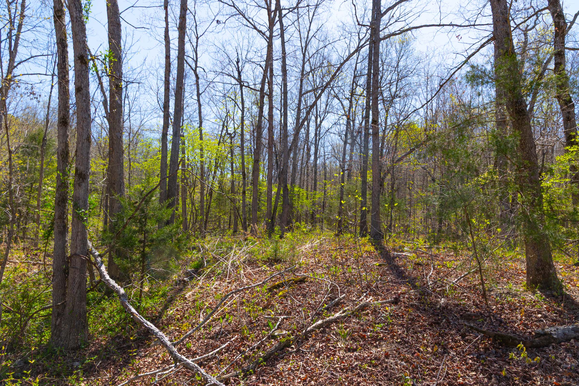 Tract 12 at Lazybrook in Fulton County, Arkansas