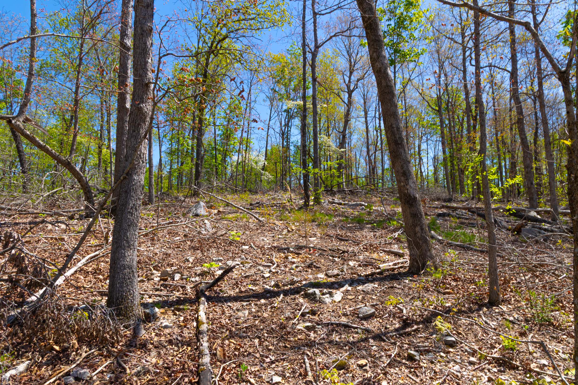 Tract 13 at Lazybrook in Fulton County, Arkansas