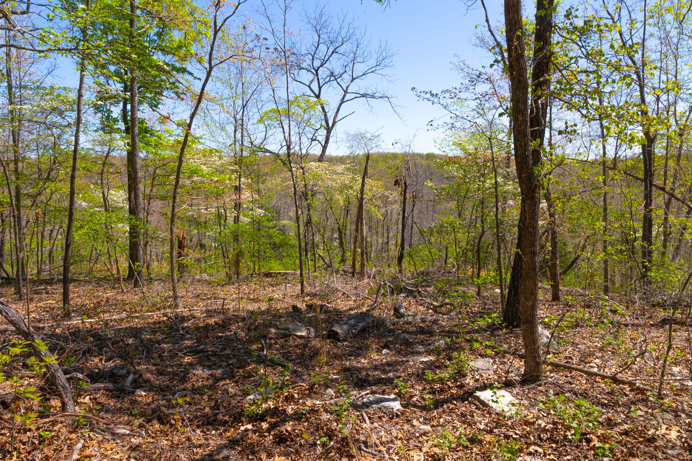 Tract 14 at Lazybrook in Fulton County, Arkansas