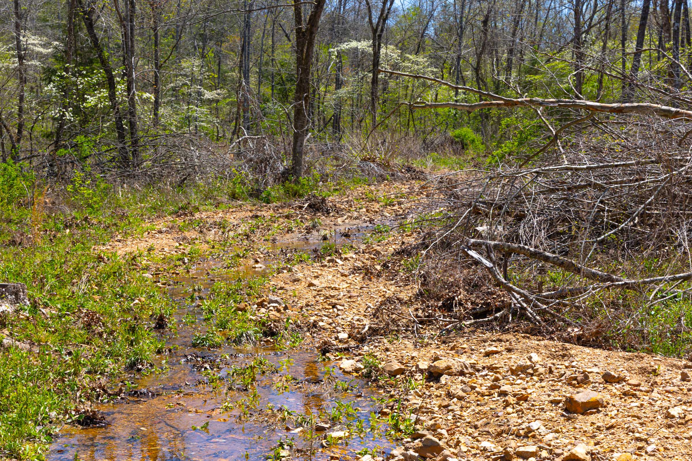 Tract 19 at Lazybrook in Fulton County, Arkansas