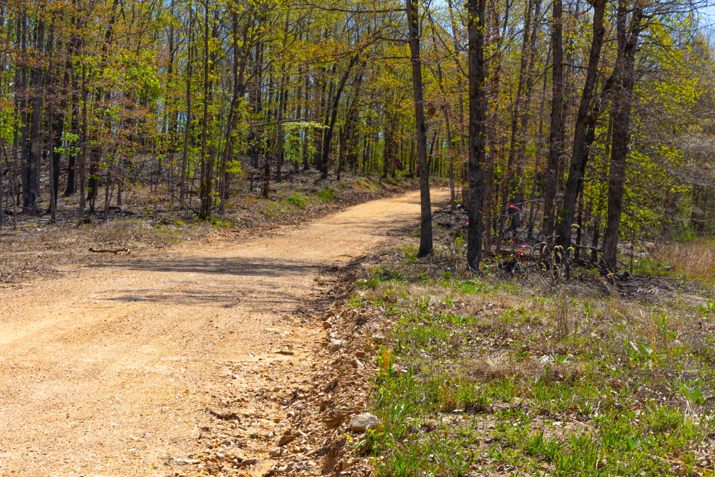 Tract 2 at Lazybrook in Fulton County, Arkansas