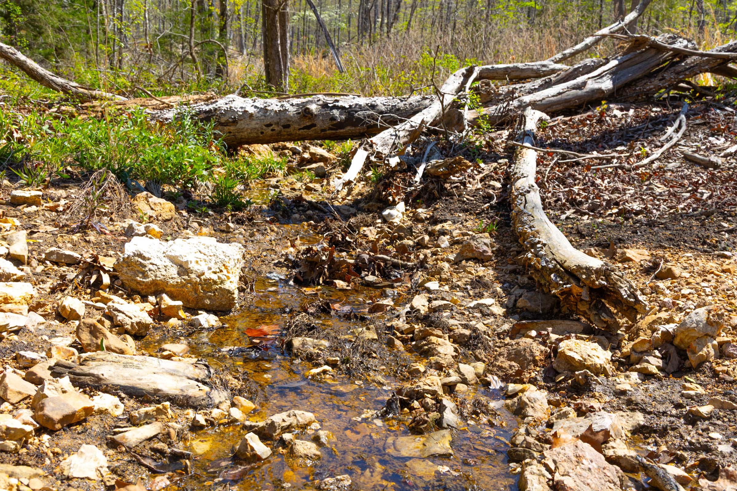 Tract 20 at Lazybrook in Fulton County, Arkansas