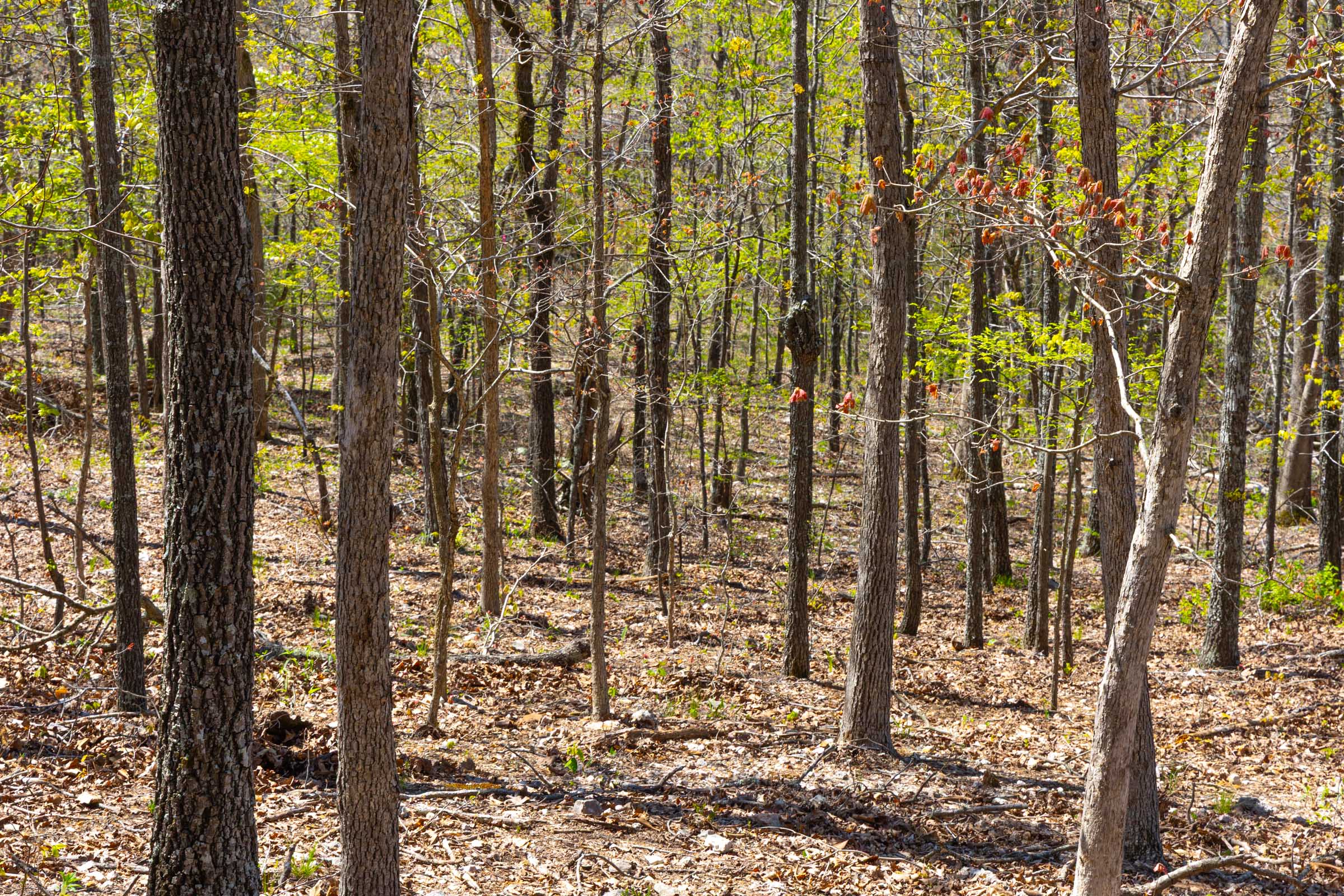 Tract 3 at Lazybrook in Fulton County, Arkansas