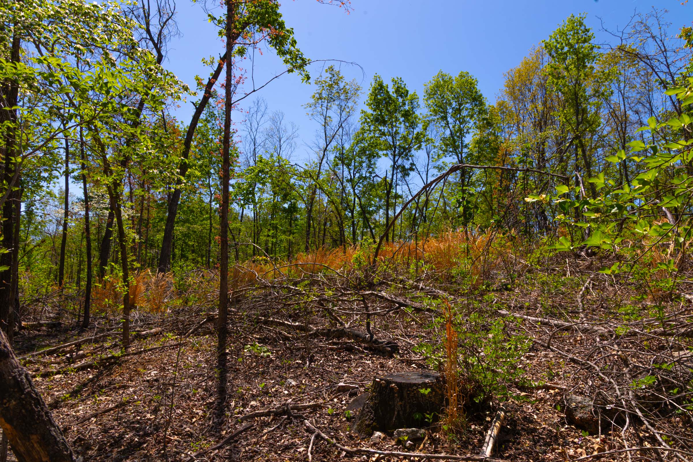 Tract 9 at Lazybrook in Fulton County, Arkansas